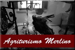 TURISTIČNA KMETIJA MERLINO, NIMIS logo