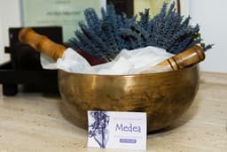 SALON MEDEA, TRZIN logo