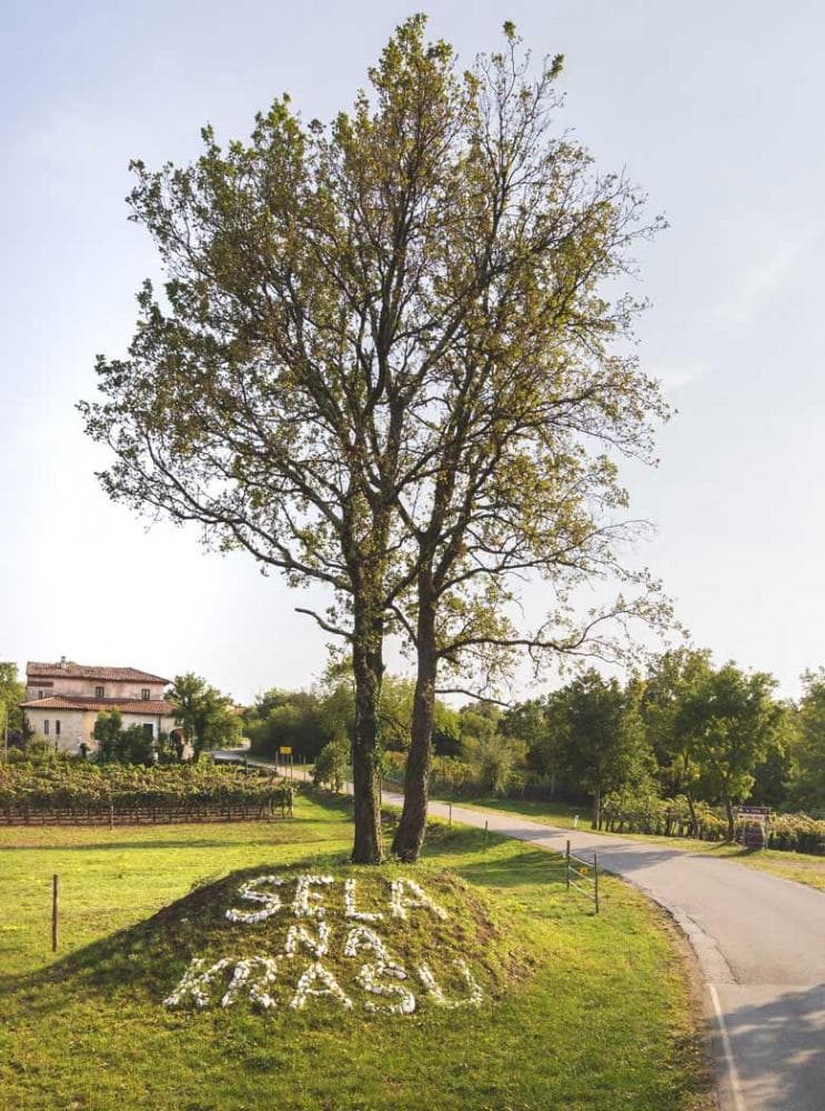 IZLETNIŠKA KMETIJA IN OSMICA PRI KRČARJU TIPIČNE KRAŠKE JEDI, KMEČKI TURIZEM