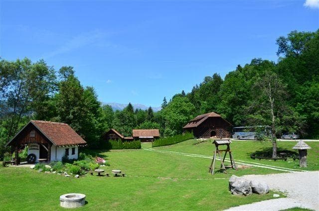 KOSILA MALICE PICE DOSTAVA NA DOM TRŽIČ