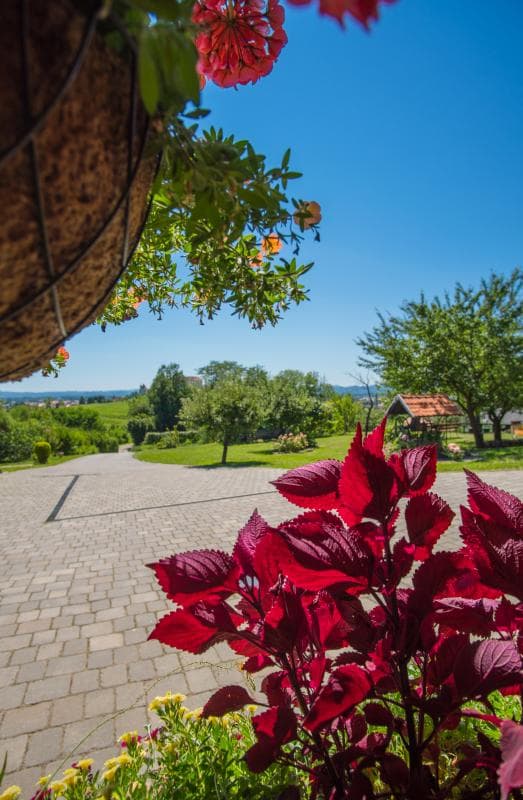 ROOMS PTUJ - SOBE V PTUJU, PRENOČIŠČA PANORAMA