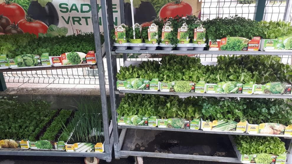 AGRARIA KORON | VOLČJA DRAGA | TRGOVINA S KMETIJSKIM IN GRADBENIM MATERIALOM