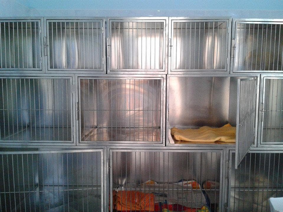 VETERINARSKA BOLNICA VIPAVA