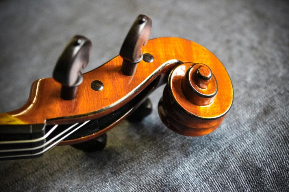 VIOLINE IZ VISOKORESONANČNEGA LESA cover