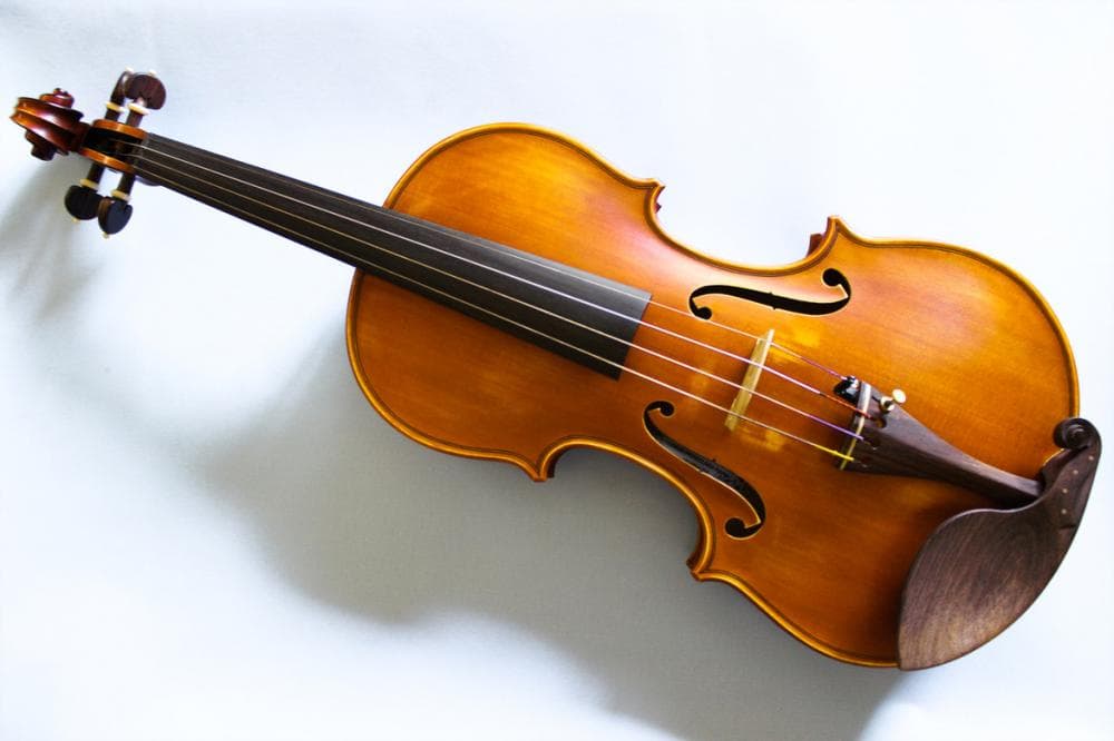 VIOLINE IZ VISOKORESONANČNEGA LESA
