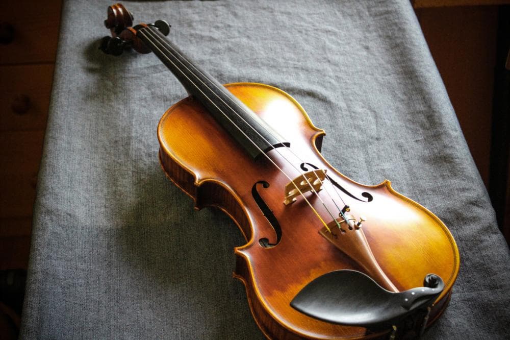 VIOLINE IZ VISOKORESONANČNEGA LESA