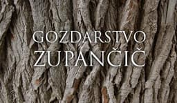PRODAJA IN ODKUP BUKOVIH DRV BOHINJ logo