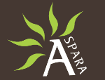 WELLNESS CELJE logo
