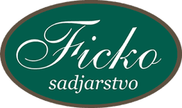 DOMAČE MARMELADE, ŽGANJE, LIKERJI, BUČNO OLJE, JABOLČNI IN VINSKI KIS, SADJARSTVO FICKO, ROGAŠOVCI logo