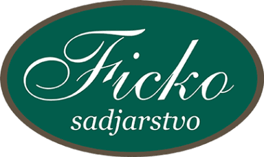 DOMAČE MARMELADE, ŽGANJE, LIKERJI, BUČNO OLJE, JABOLČNI IN VINSKI KIS, SADJARSTVO FICKO, ROGAŠOVCI