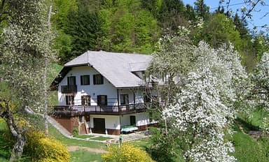 APARTMAJI PRI SMUČIŠČU STARI VRH