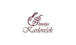 DOMAČE SADJE, DOMAČI JABOLČNI SOK, VINO, PENINA logo