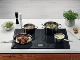 POOBLAŠČENI ELECTROLUX SERVIS LJUBLJANA, ZANUSSI , AEG, SERVIS BELE TEHNIKE CANDY, HOOVER,HAIER logo