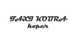 TAXI KOPER PIRAN PORTOROZ VIP PREVOZI logo