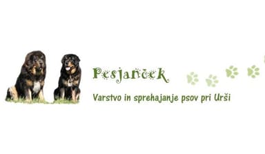 PESJANČEK - VARSTVO IN SPREHAJANJE PSOV PRI URŠI, NOVO MESTO