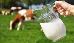 PROBIOTIČNE BAKTERIJE, PRODAJA SUROVEGA MLEKA IN MLEČNIH IZDELKOV, KMETIJA STEPAN, ČRNI KAL logo