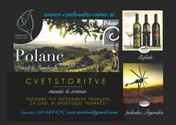 CVETSTORITVE MUSIC & WINES, LJUBLJANA POLJE logo