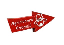 KMETIJA ANTONIČ, DEVIN logo