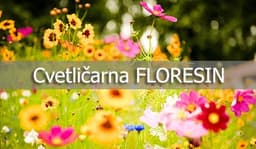 CVETLIČARNA FLORESIN, TANJA HOLC, PTUJ logo