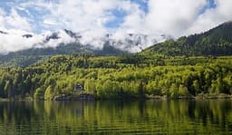 VODEN FOTOLOV V NARAVI, MIRKO ZALOKAR, BOHINJSKO JEZERO logo