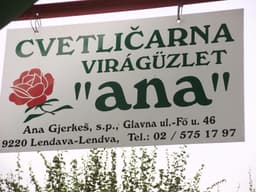 CVETLIČARNA ANA, LENDAVA logo