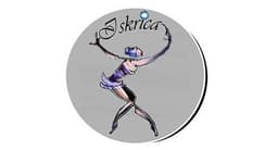 TRGOVINA S ŠPORTNO OPREMO MARIBOR, RITMIČNO GIMNASTIČNA TRGOVINA ISKRICA logo