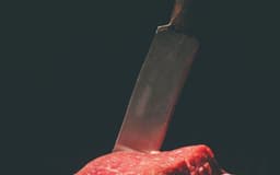 MESNICA SEMOLIČ, SVEŽE MESO ZA ŽAR, NOVA GORICA logo
