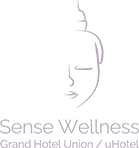 WELLNESS LJUBLJANA logo
