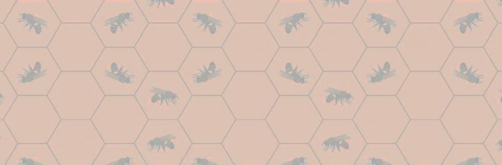 ČEBELARSTVO KOŽELJ, ČEBELARSKI MUZEJ