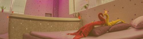 WELLNESS CELJE