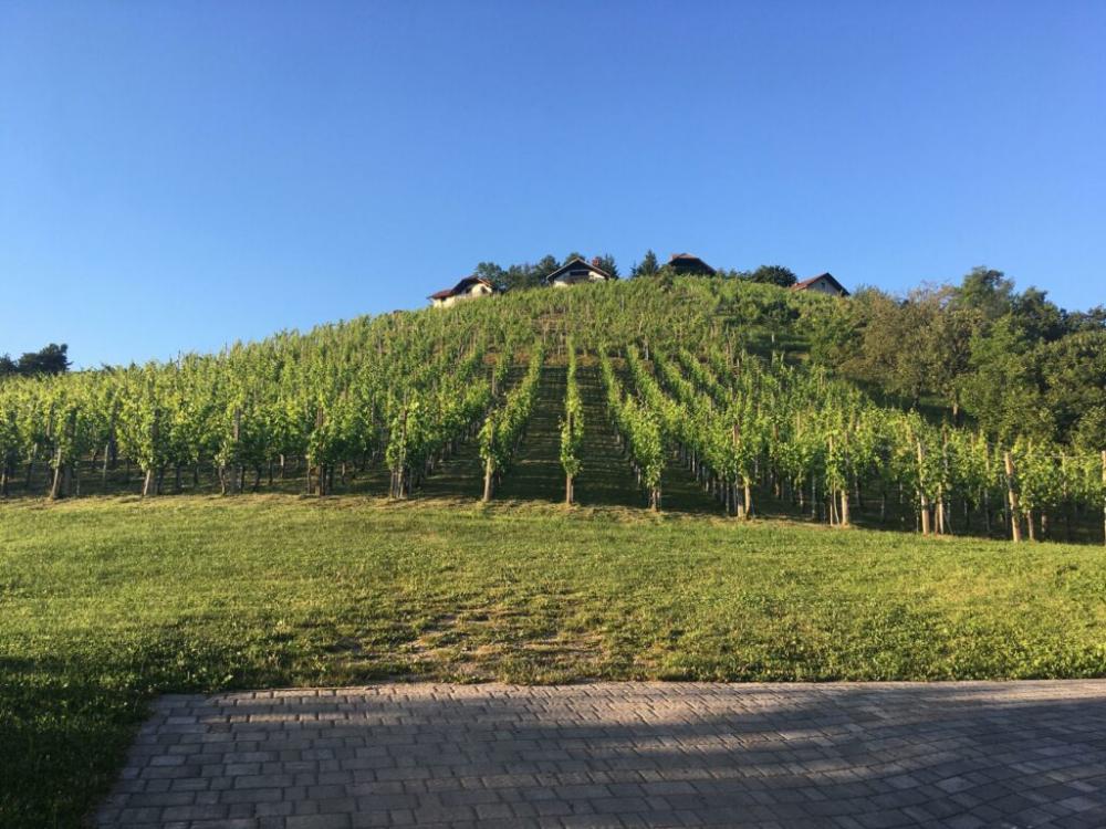 Gostilna Jaklič, Šentrupert
