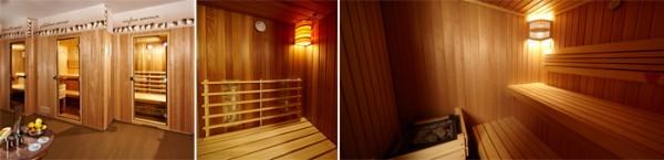 Apartmaji in wellness Skok, Mozirje